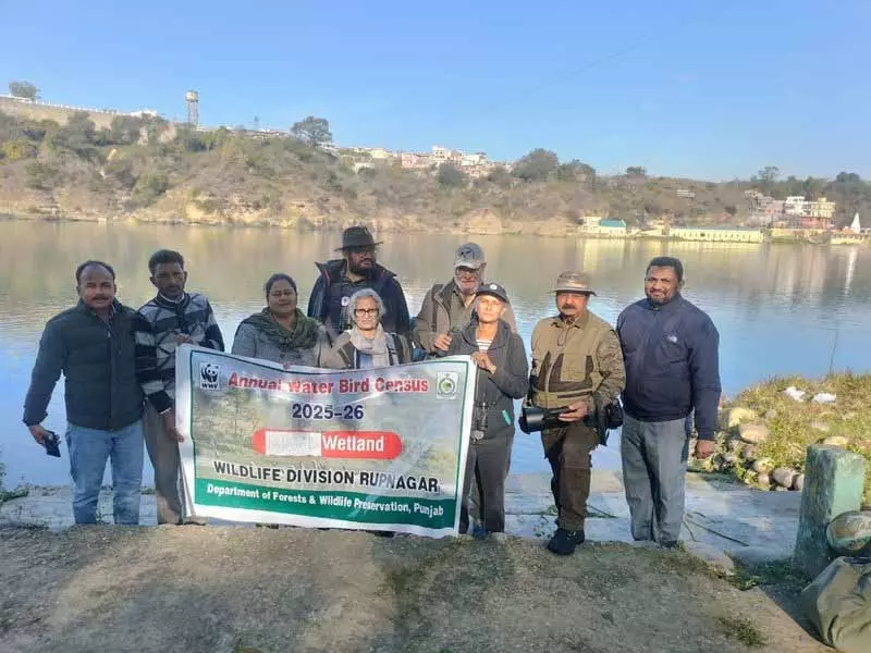 Ropar वेटलैंड में प्रवासी पक्षियों की संख्या कम बनी हुई है Ropar वेटलैंड में प्रवासी पक्षियों की संख्या कम बनी हुई है