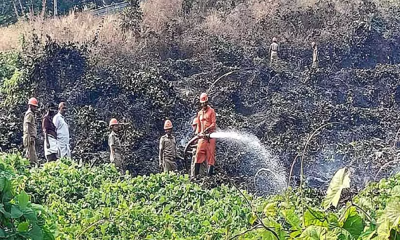 Kerala: आग से छह एकड़ ज़मीन नष्ट हो गई Kerala: आग से छह एकड़ ज़मीन नष्ट हो गई