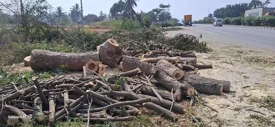Mulbagilu : विकास के नाम पर पेड़ों का विनाश Mulbagilu : विकास के नाम पर पेड़ों का विनाश