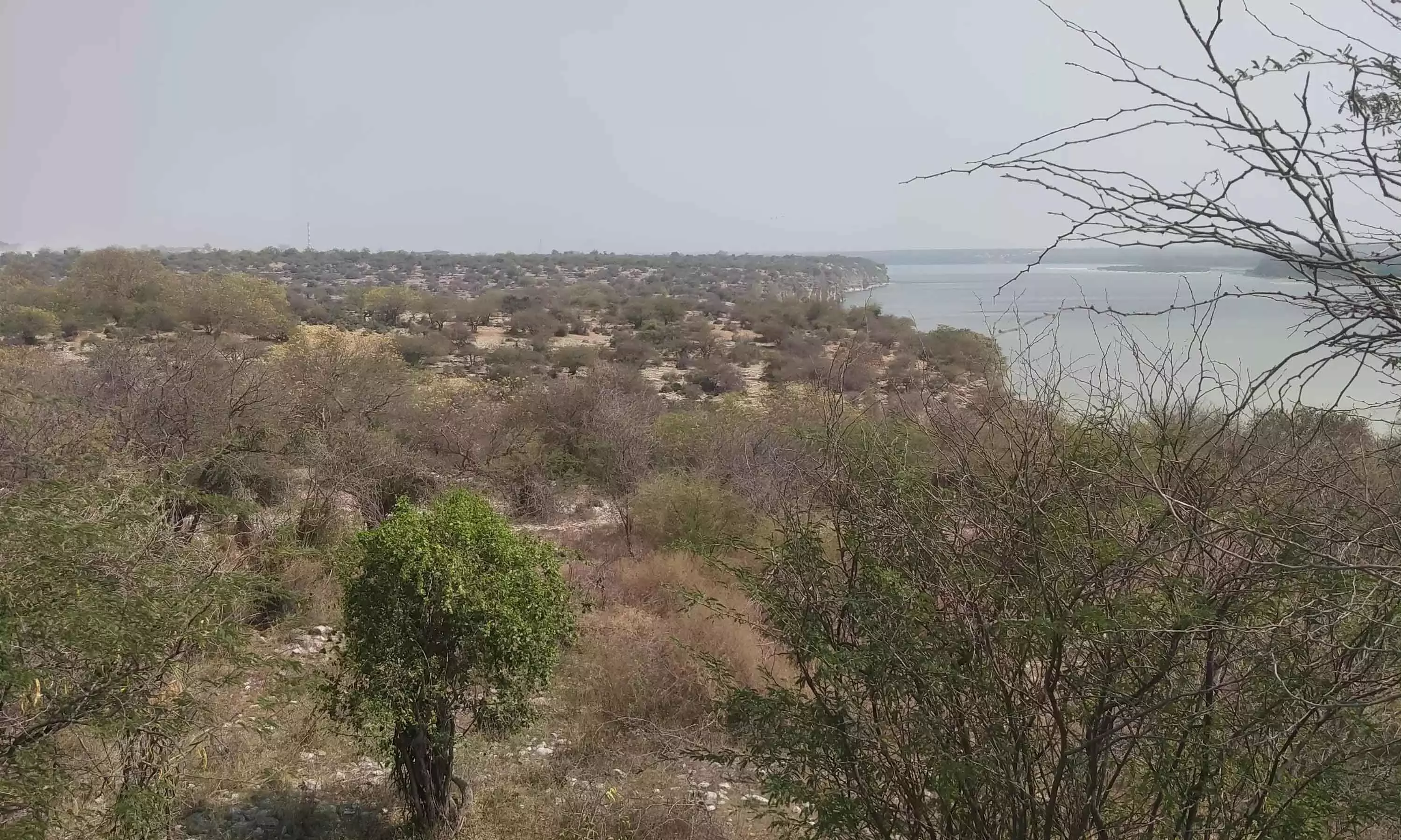 Nalgonda में 3,000 साल पुराने शहर और महापाषाणकालीन कब्रों का खुलासा Nalgonda में 3,000 साल पुराने शहर और महापाषाणकालीन कब्रों का खुलासा