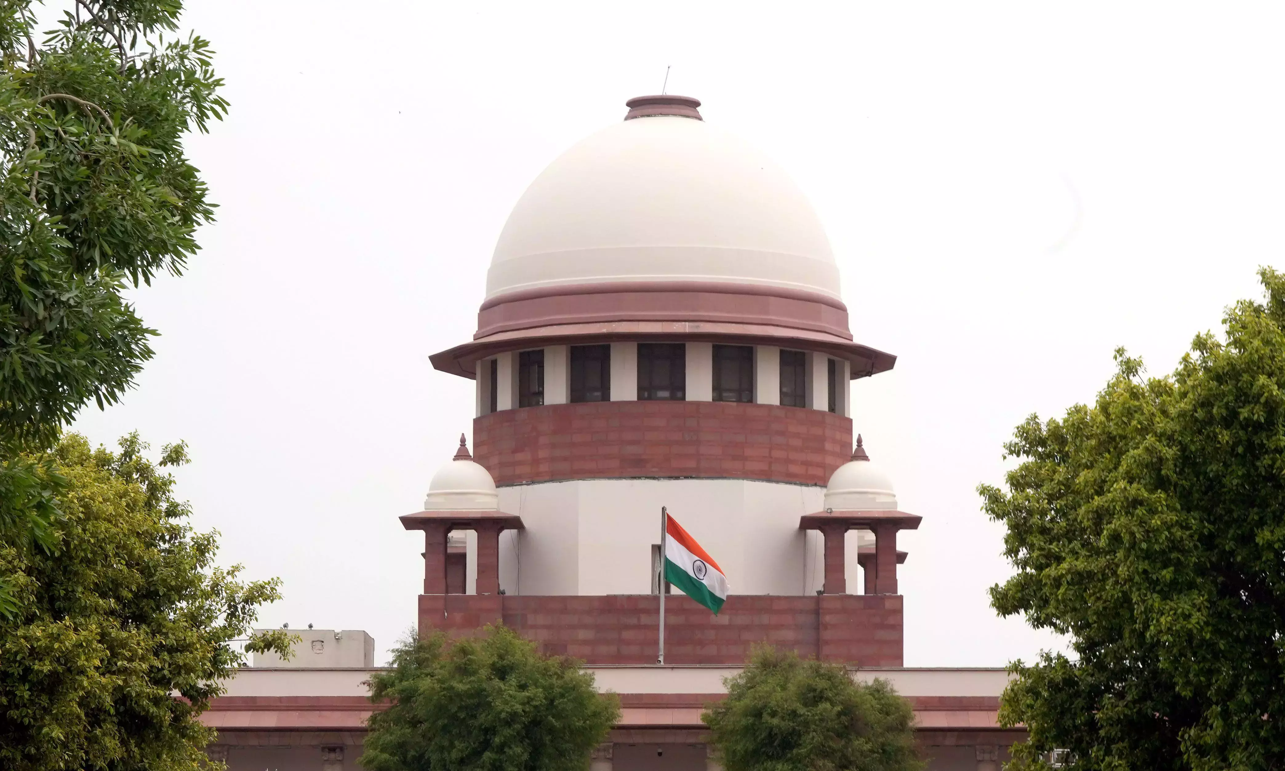 शराब घोटाला: सुप्रीम कोर्ट ने कासिरेड्डी को रेगुलर बेल देने से मना कर दिया शराब घोटाला: सुप्रीम कोर्ट ने कासिरेड्डी को रेगुलर बेल देने से मना कर दिया
