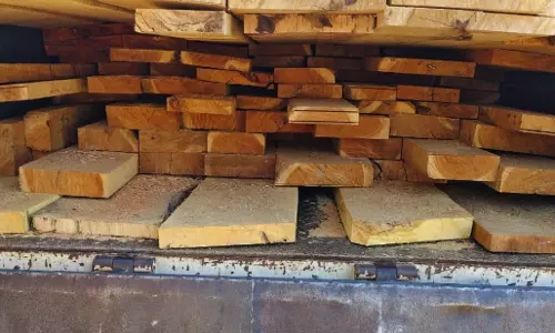 पिकअप से सागौन लकड़ी जब्त, अवैध परिवहन पर कार्रवाई