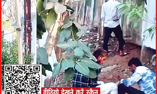 सूखे नशे के अंतर्राज्यीय सिंडिकेट की जद में छत्तीसगढ़ सूखे नशे के अंतर्राज्यीय सिंडिकेट की जद में छत्तीसगढ़