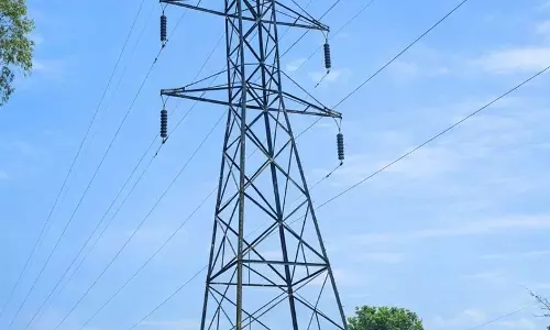 Haryana : वितरण निगम ने किसानों और उपभोक्ताओं से इंफ्रास्ट्रक्चर से छेड़छाड़ न करने की अपील की