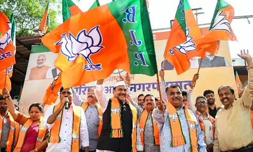 Maharashtra स्थानीय निकाय चुनाव: महायुति का दबदबा कायम, भाजपा का दबदबा कायम