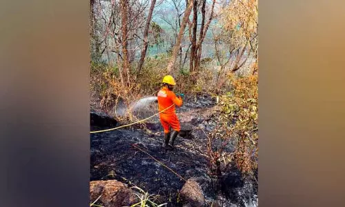 Kodikulam कप्पिलम चुवाडू इलाके में जंगल में आग लगना आम बात है Kodikulam कप्पिलम चुवाडू इलाके में जंगल में आग लगना आम बात है