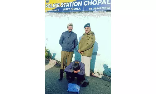 Shimla Police ने एक बड़े नशीली दवाओं के खिलाफ अभियान में 1.8 किलोग्राम चरस जब्त की Shimla Police ने एक बड़े नशीली दवाओं के खिलाफ अभियान में 1.8 किलोग्राम चरस जब्त की
