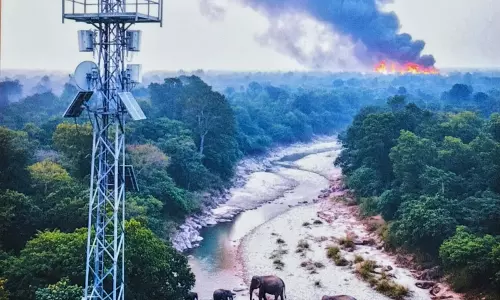 Yamunanagar: कलेसर NP में अब AI और हाईटेक सुरक्षा Yamunanagar: कलेसर NP में अब AI और हाईटेक सुरक्षा