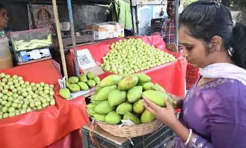 Andhra Pradesh में इस सीजन आम की अच्छी पैदावार की उम्मीद Andhra Pradesh में इस सीजन आम की अच्छी पैदावार की उम्मीद