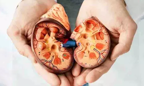 रोज़ाना ये चीज़ें खाएं ताकि आपकी Kidney हेल्दी रहे