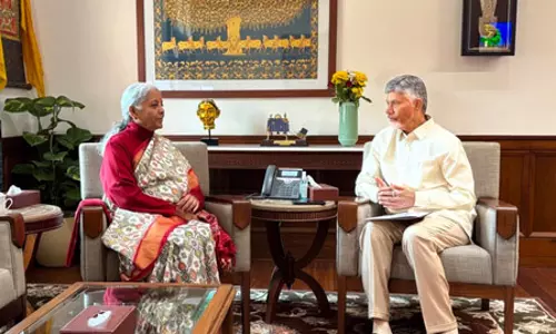 सीएम नायडू ने राज्य के मुद्दों पर चर्चा के लिए केंद्रीय गृहमंत्री एवं वित्तमंत्री से मुलाकात की
