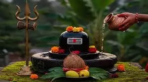 Mahashivratri 2026 Daan: महाशिवरात्रि के दिन करें इन चीजों का दान, ग्रह और पितृ दोष से मिलेगा छुटकारा Mahashivratri 2026 Daan: महाशिवरात्रि के दिन करें इन चीजों का दान, ग्रह और पितृ दोष से मिलेगा छुटकारा