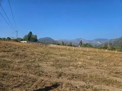 Dehradun: जमीन आवंटन को लेकर IMA में टकराव Dehradun: जमीन आवंटन को लेकर IMA में टकराव