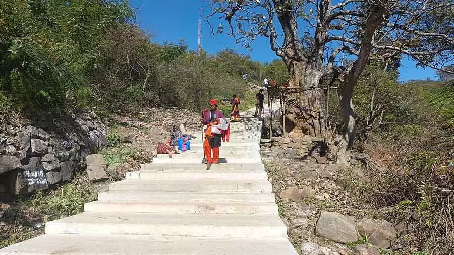 Karnataka : एमएम हिल्स की पदयात्रा कर रहे भक्तों की सुरक्षा के लिए 7 टीमें, 2 पेट्रोल गाड़ियां तैनात Karnataka : एमएम हिल्स की पदयात्रा कर रहे भक्तों की सुरक्षा के लिए 7 टीमें, 2 पेट्रोल गाड़ियां तैनात