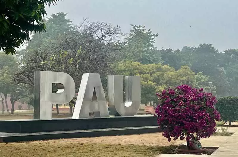 PAU ने मेंटल हेल्थ लिटरेसी वर्कशॉप का आयोजन किया PAU ने मेंटल हेल्थ लिटरेसी वर्कशॉप का आयोजन किया