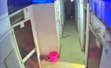 बिहार: अदालत के आदेश के बाद शंभू गर्ल्स हॉस्टल खुला बिहार: अदालत के आदेश के बाद शंभू गर्ल्स हॉस्टल खुला