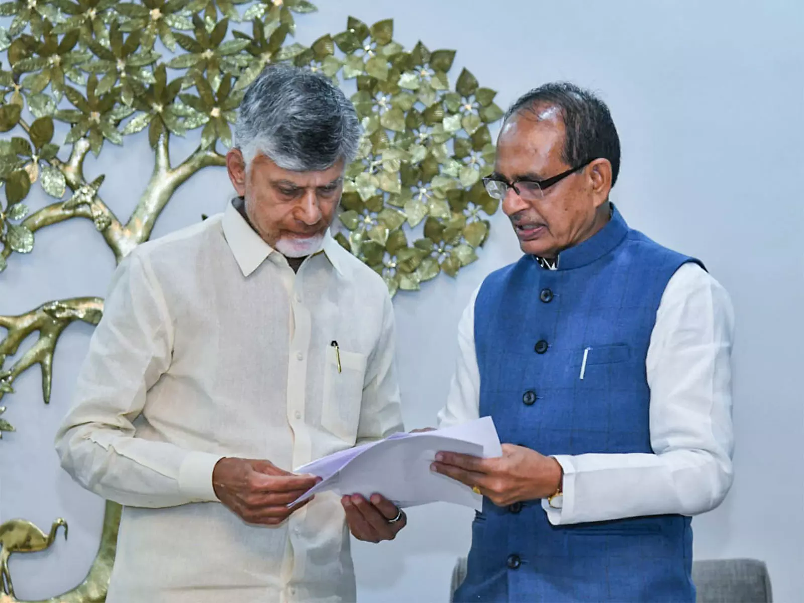 Andhra Pradesh में रासायनिक उर्वरक उपयोग में गिरावट Andhra Pradesh में रासायनिक उर्वरक उपयोग में गिरावट