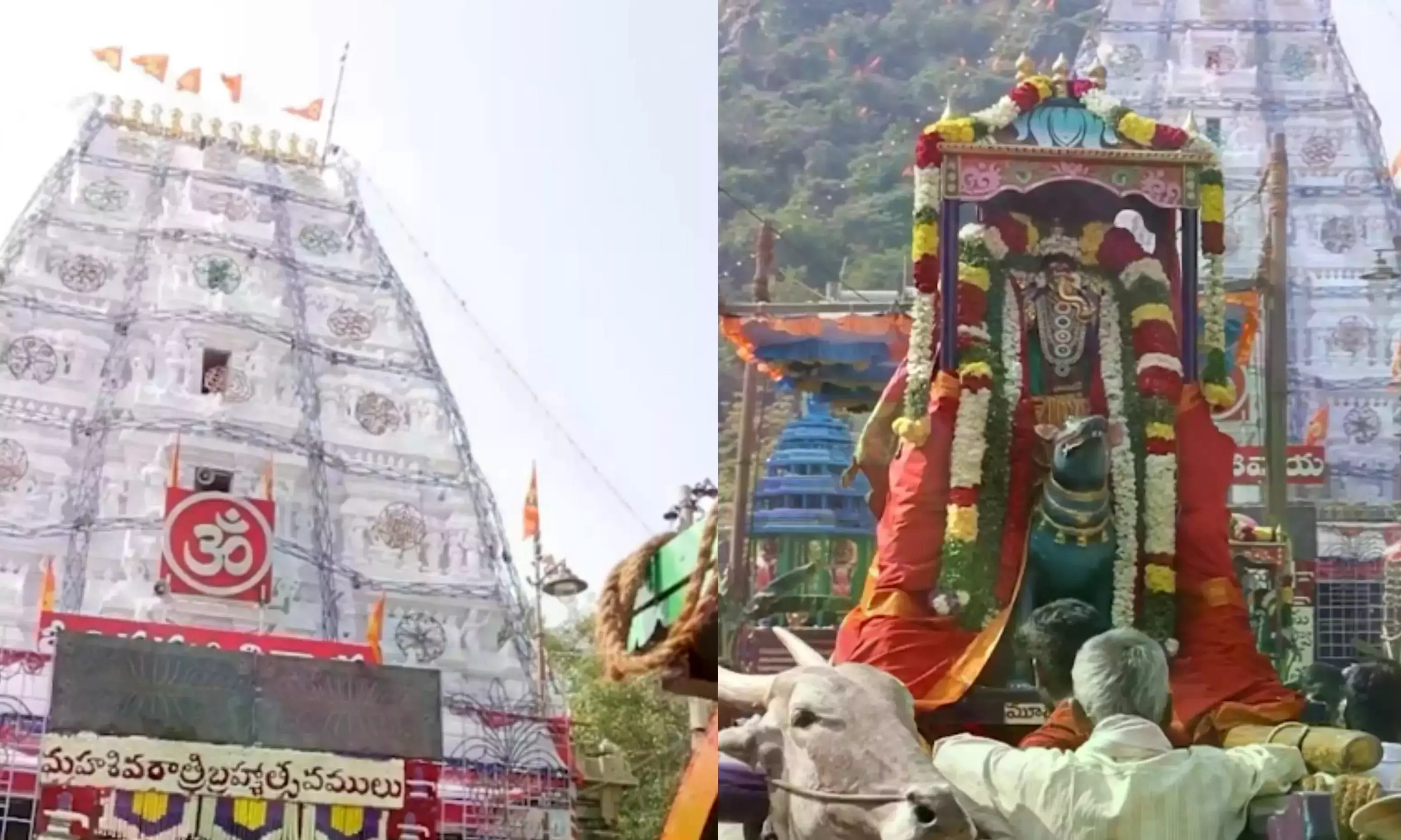 Nellore मूलस्थानेश्वर मंदिर में महाशिवरात्रि की तैयारी शुरू