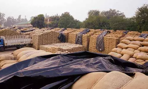 Karnal के राइस मिलर्स ने फूड सप्लाई DG से मुलाकात कर सप्लायर्स की मांग की