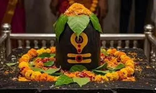 Mahashivratri 2026: महाशिवरात्रि पर राशि अनुसार ऐसे करें शिव का अभिषेक, ग्रह दोष होंगे दूर Mahashivratri 2026: महाशिवरात्रि पर राशि अनुसार ऐसे करें शिव का अभिषेक, ग्रह दोष होंगे दूर