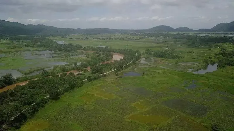 Guwahati रिंग रोड प्रोजेक्ट से अमचांग और शहर में वेटलैंड्स, हाथियों को खतरा Guwahati रिंग रोड प्रोजेक्ट से अमचांग और शहर में वेटलैंड्स, हाथियों को खतरा