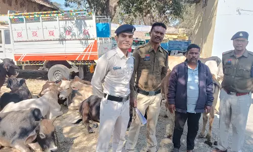32 गौवंश को बचाया गया, मशहूर मवेशी तस्कर अरेस्ट
