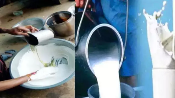 Chandigarh: मिलावटखोरों पर कड़ी कार्रवाई के निर्देश
