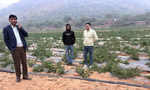 मुनाफे के लिए हल आधुनिक खेती ने Haryana के नूह के किसानों की ज़िंदगी बदल दी