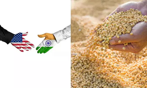 SOPA ने भारत-US ट्रेड रियायतों से सोयाबीन को बाहर रखने के केंद्र के फैसले की तारीफ़ की SOPA ने भारत-US ट्रेड रियायतों से सोयाबीन को बाहर रखने के केंद्र के फैसले की तारीफ़ की