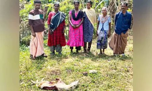 Cherukara गांव में तेंदुए का डर; स्थानीय लोग बाहर नहीं निकल पा रहे Cherukara गांव में तेंदुए का डर; स्थानीय लोग बाहर नहीं निकल पा रहे