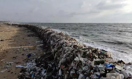 Mumbai में प्लास्टिक रोकने वाले बैरियर लगाए जाएंगे Mumbai में प्लास्टिक रोकने वाले बैरियर लगाए जाएंगे