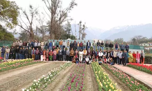 Palampur में ट्यूलिप गार्डन आम लोगों के लिए खुला Palampur में ट्यूलिप गार्डन आम लोगों के लिए खुला