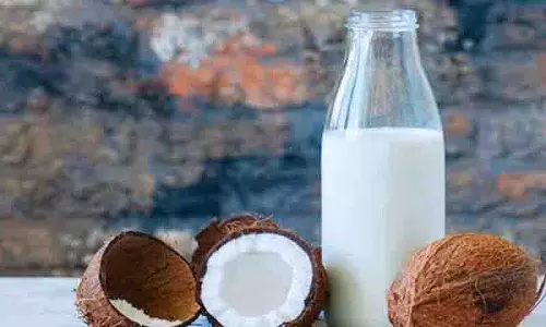 अगर आप रोज़ाना Coconut Milk ले रहे हैं तो यह जान लें अगर आप रोज़ाना Coconut Milk ले रहे हैं तो यह जान लें