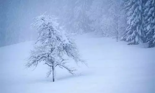Srinagar: ऊंचाई वाले इलाकों में बर्फबारी, घाटी में बूंदाबांदी