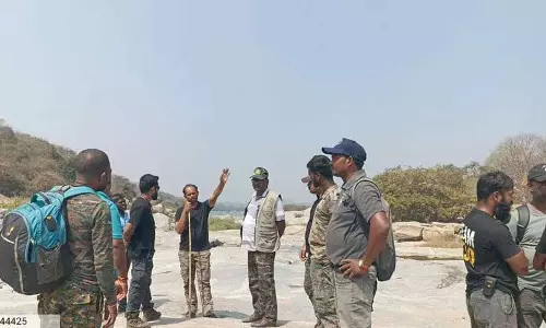 वन अधिकारियों ने Koheda में बाघ को ट्रैक किया, नए हमले की कोई खबर नहीं वन अधिकारियों ने Koheda में बाघ को ट्रैक किया, नए हमले की कोई खबर नहीं