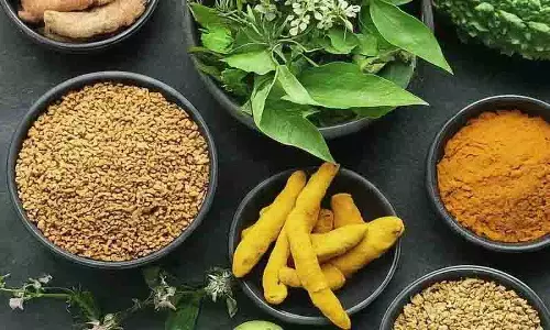 Diabetics के मरीजों के लिए हर्ब्स, ब्लड शुगर लेवल को कंट्रोल करने के लिए इन्हें रेगुलर लें Diabetics के मरीजों के लिए हर्ब्स, ब्लड शुगर लेवल को कंट्रोल करने के लिए इन्हें रेगुलर लें