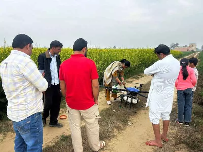 Sirsa के किसान ड्रोन टेक्नोलॉजी के लिए तैयार, लेकिन ज़मीन पर लागू होने में देरी Sirsa के किसान ड्रोन टेक्नोलॉजी के लिए तैयार, लेकिन ज़मीन पर लागू होने में देरी