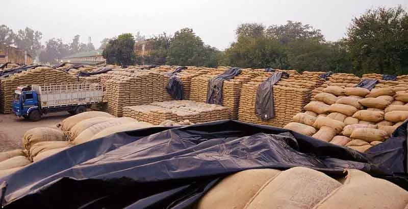 Karnal के राइस मिलर्स ने फूड सप्लाई DG से मुलाकात कर सप्लायर्स की मांग की Karnal के राइस मिलर्स ने फूड सप्लाई DG से मुलाकात कर सप्लायर्स की मांग की