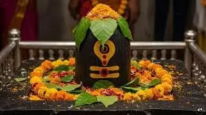 Mahashivratri 2026: महाशिवरात्रि पर राशि अनुसार ऐसे करें शिव का अभिषेक, ग्रह दोष होंगे दूर Mahashivratri 2026: महाशिवरात्रि पर राशि अनुसार ऐसे करें शिव का अभिषेक, ग्रह दोष होंगे दूर