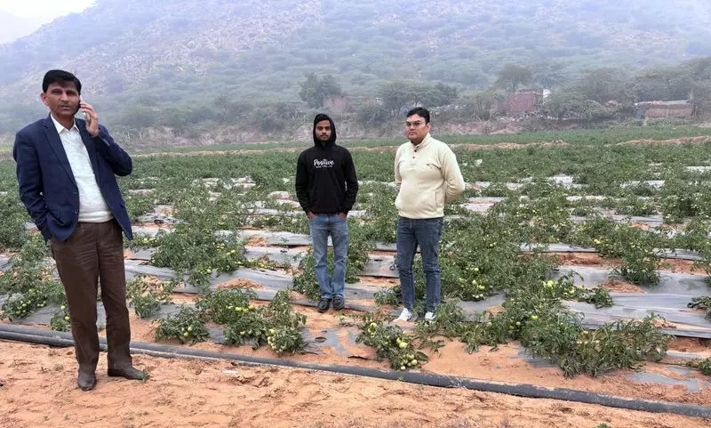 मुनाफे के लिए हल आधुनिक खेती ने Haryana के नूह के किसानों की ज़िंदगी बदल दी मुनाफे के लिए हल आधुनिक खेती ने Haryana के नूह के किसानों की ज़िंदगी बदल दी