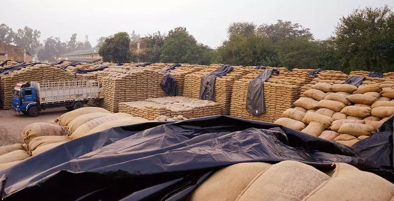 Karnal के राइस मिलर्स ने फूड सप्लाई DG से मुलाकात की Karnal के राइस मिलर्स ने फूड सप्लाई DG से मुलाकात की