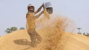 Kasganj: निःशुल्क गेहूं-चावल के साथ मिलेगा बाजरा Kasganj: निःशुल्क गेहूं-चावल के साथ मिलेगा बाजरा