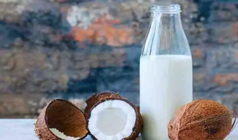 अगर आप रोज़ाना Coconut Milk ले रहे हैं तो यह जान लें अगर आप रोज़ाना Coconut Milk ले रहे हैं तो यह जान लें