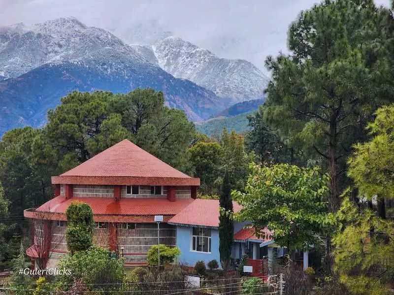 Himachal के ऊंचे इलाकों में 13 फरवरी को बर्फबारी और बारिश की संभावना Himachal के ऊंचे इलाकों में 13 फरवरी को बर्फबारी और बारिश की संभावना