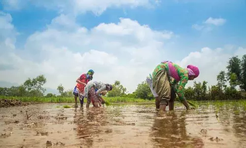 Punjab और Haryana कृषि कर्ज में तीसरे और चौथे स्थान पर