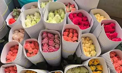 Valentines Day : होसुर से हर दिन 1 मिलियन गुलाब ऑनलाइन बिकते हैं Valentines Day : होसुर से हर दिन 1 मिलियन गुलाब ऑनलाइन बिकते हैं