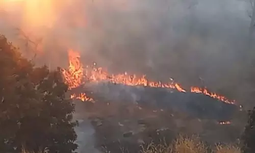 धमतरी में पहाड़ी इलाके में लगी आग, वन विभाग की टीम पहुंची धमतरी में पहाड़ी इलाके में लगी आग, वन विभाग की टीम पहुंची
