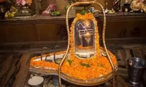 Pradosh Vrat February 2026:  कब है प्रदोष व्रत, नोट कर लें सही तारीख, मुहूर्त और पूजा विधि