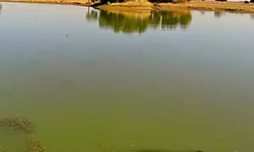 तालाब में डूबा ग्राम पटेल, मौत