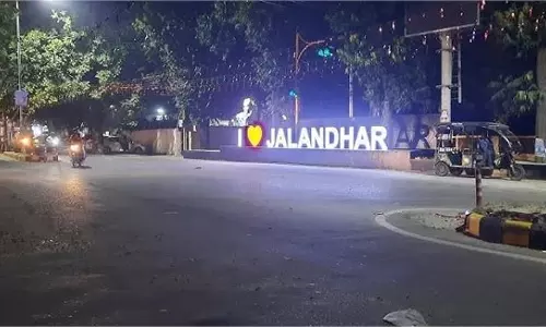 Jalandhar: Model Town गुरुद्वारे के पास रातों-रात गायब हुआ विरासती पेड़, छिड़ा नया विवाद